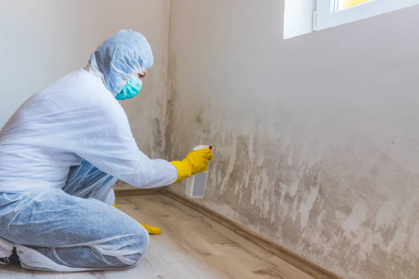 Mold Remediation specialist working in Geneva